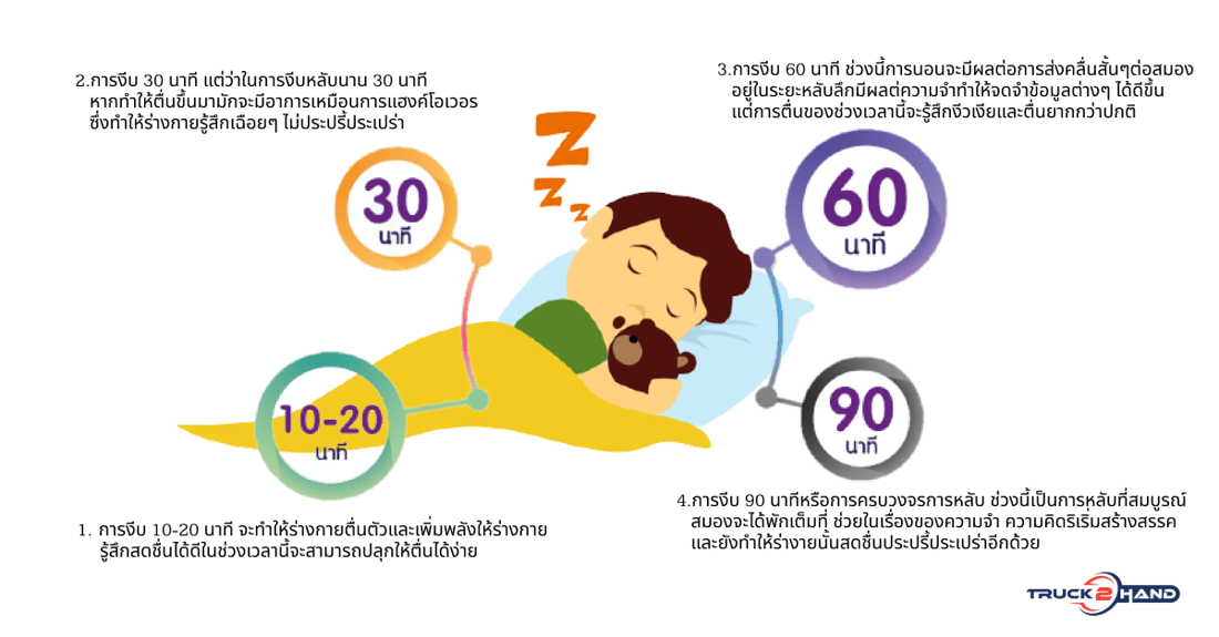 วงจรการหลับ