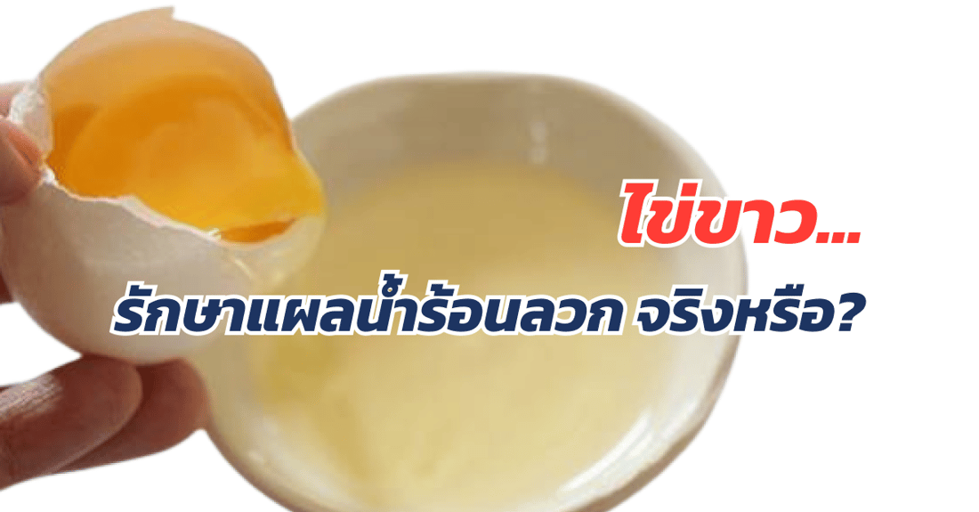 ไข่ขาวใช้รักษาแผลน้ำร้อนลวกได้ จริงหรือ? | เว็บบล็อก Truck2Hand - Truck2Hand.com