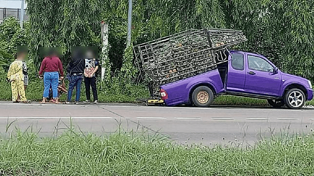 รถกระบะอีซูซุ