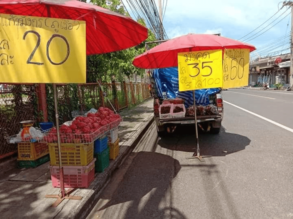 รับผลไม้ตามฤดูกาลมาขาย