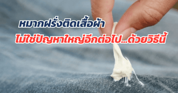 ยาหม่องสามารถใช้ขจัด หมากฝรั่งเปื้อนเสื้อผ้า ได้จริงหรือ?