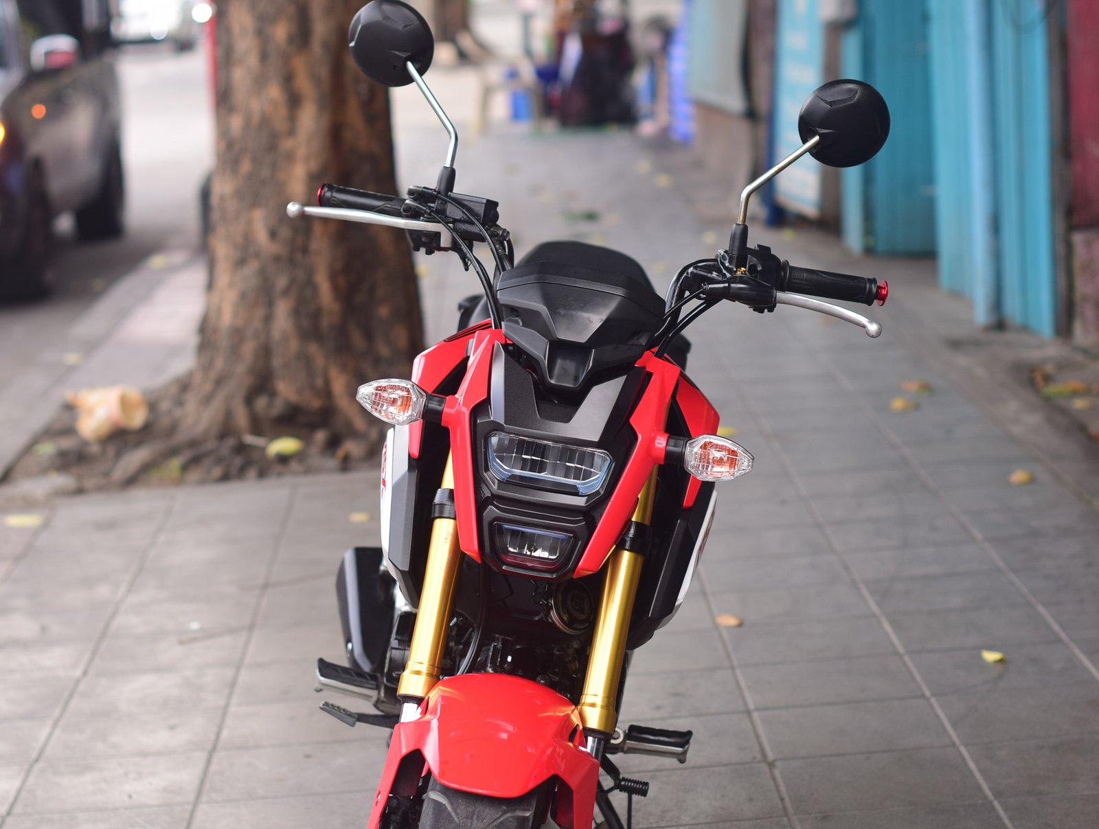 MSX 125SF ปี2019 มือเดียวเครื่องดีสีแจ่มๆเลย MSX 125SF ปี2019 มือเดียวเครื่องดีสีแจ่มๆเลย