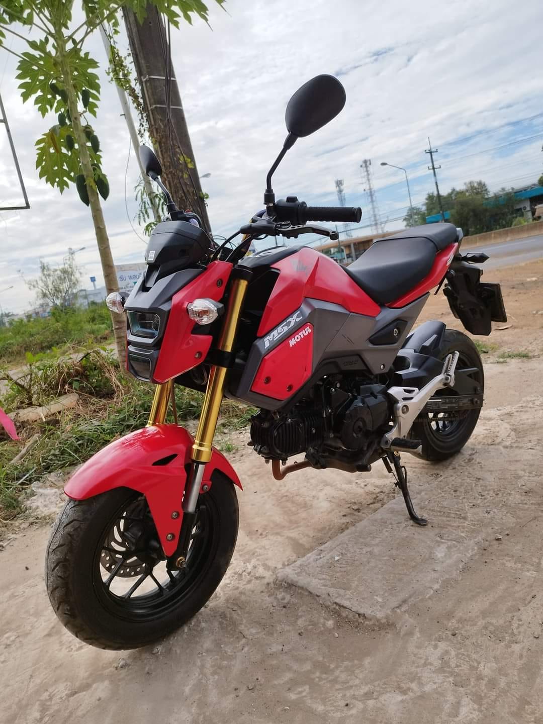 ขายลูกเดียว msx125 sf ราคาถูกๆ