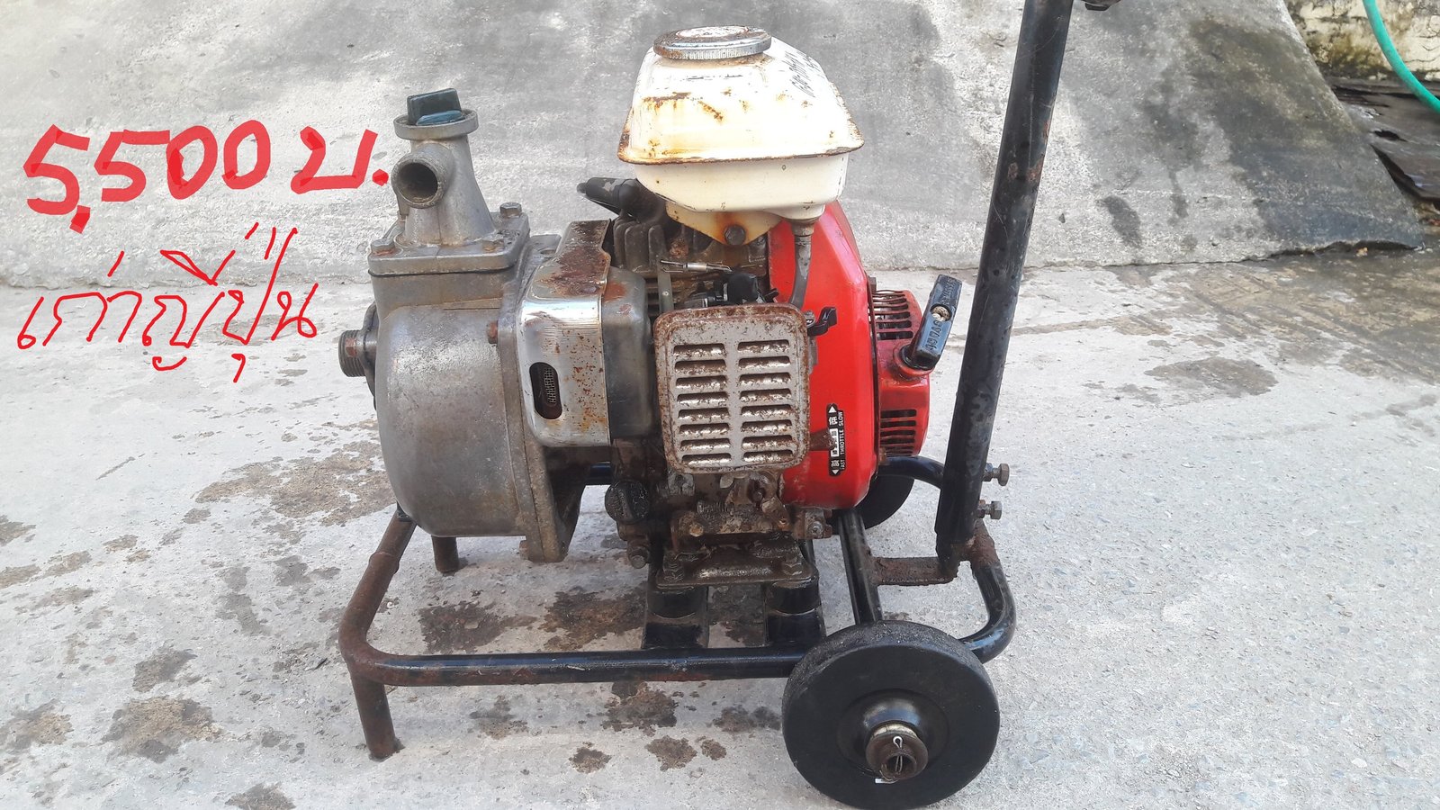 ปั้มน้ำ EBARA ซัพเมอร์สมอเตอร์ 8 นิ้วปั้มน้ำเครื่องHONDA G100, ปั้มน้ำ OLYMPIA G55 พร้อมมอเตอร์ ปั้มน้ำ EBARA ซัพเมอร์สมอเตอร์ 8 นิ้วปั้มน้ำเครื่องHONDA G100, ปั้มน้ำ OLYMPIA G55 พร้อมมอเตอร์