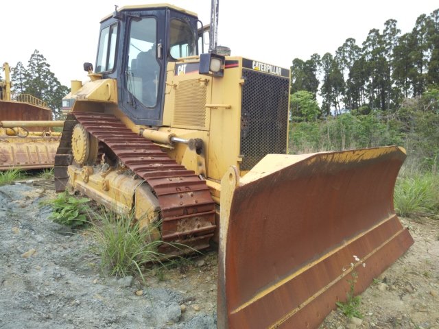 CAT D6M ตีนไก่แท้ สวย ๆ นำเข้าจากญี่ปุ่น