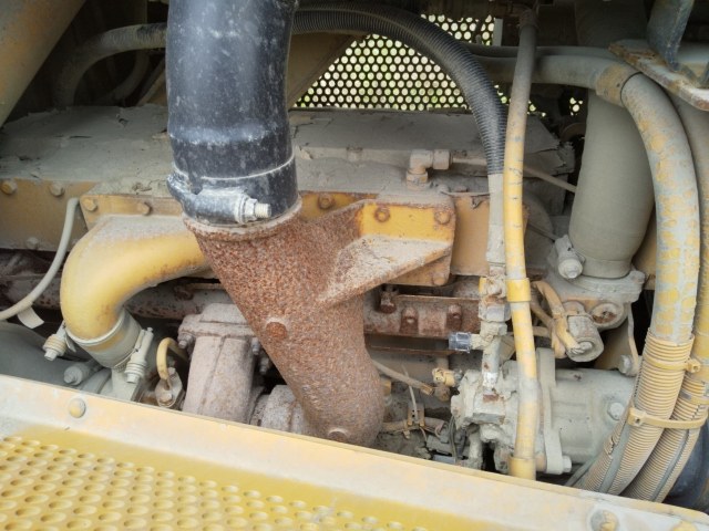 CAT D6M ตีนไก่แท้ สวย ๆ นำเข้าจากญี่ปุ่น