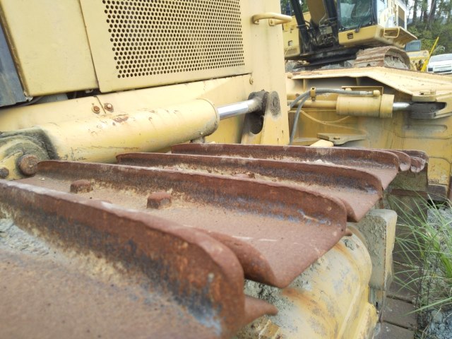 CAT D6M ตีนไก่แท้ สวย ๆ นำเข้าจากญี่ปุ่น