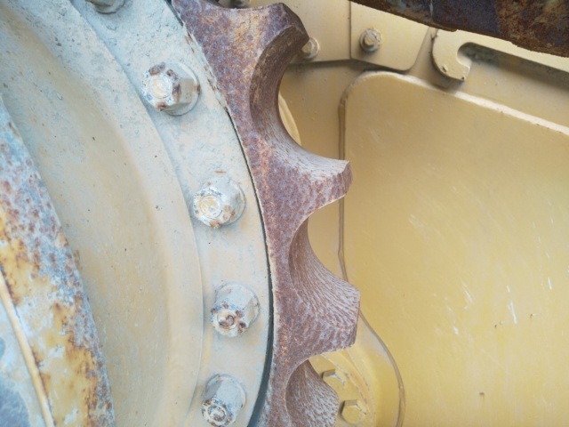 CAT D6M ตีนไก่แท้ สวย ๆ นำเข้าจากญี่ปุ่น