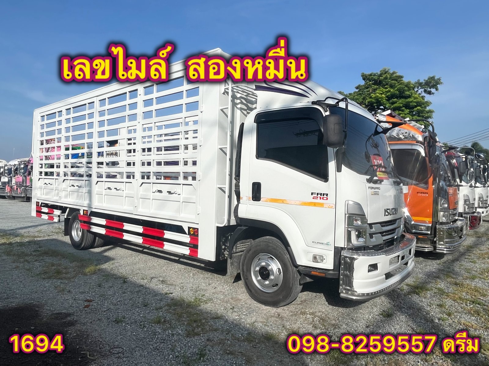 🦋 หกล้อคอก ISUZU FRR 210 แรง ปี 2565 (1694)