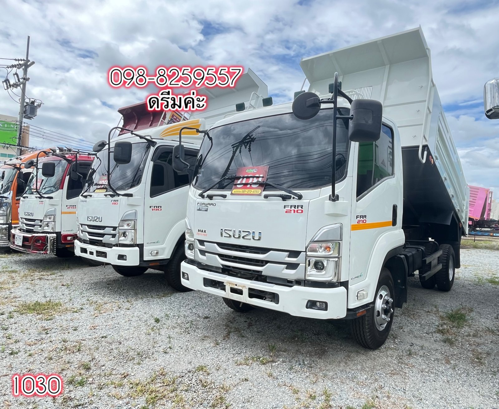 🦋 หกล้อดั้มพ์ ISUZU FRR 210 แรง ปี 2565(1030)