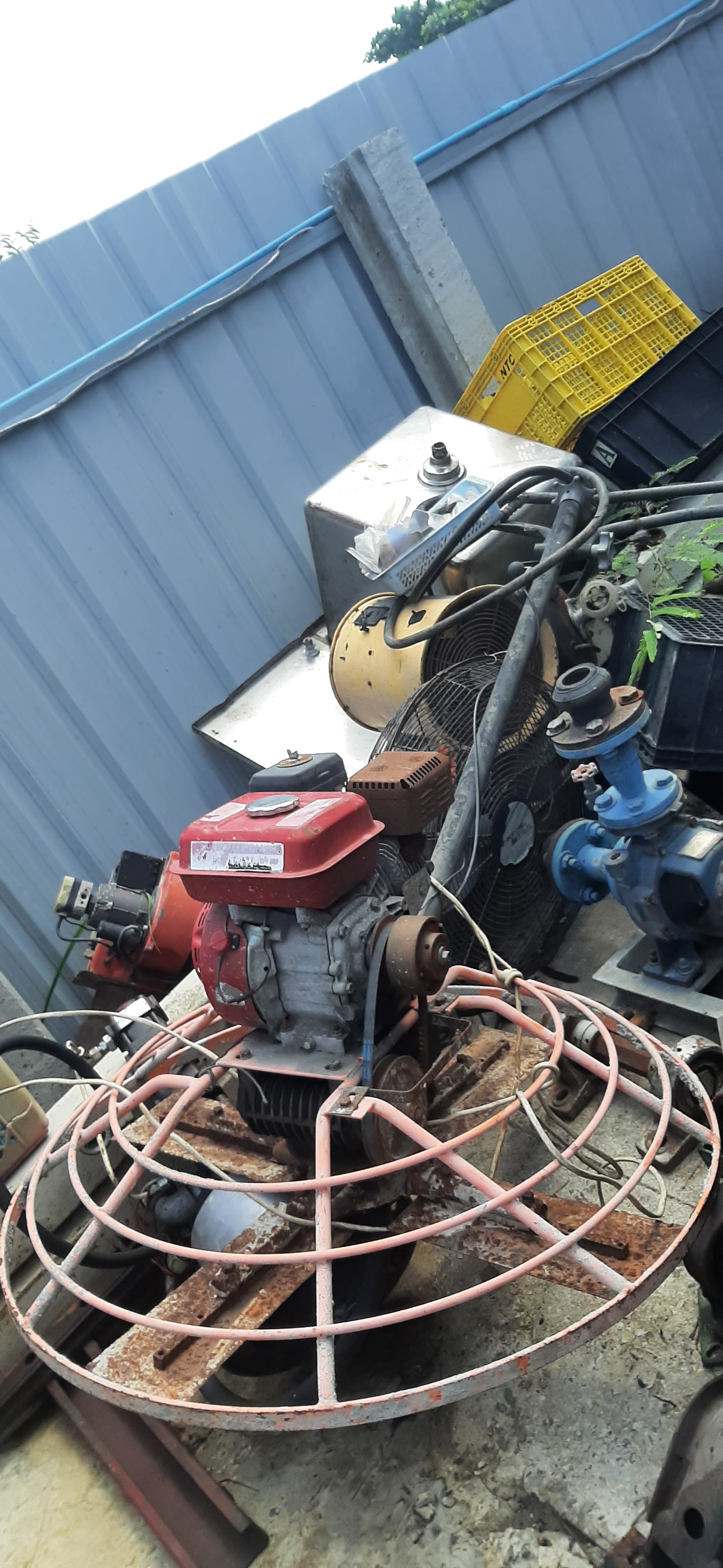 แมงปอขัดพื้น