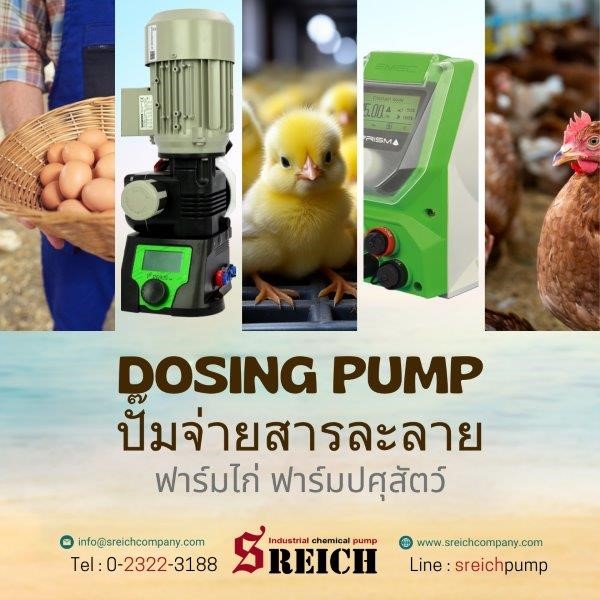 เพิ่มมูลค่าให้ธุรกิจอาหารสัตว์ของคุณ ด้วยปั๊มเคมีจากอิตาลี พร้อมการดูแลหลังการขายโดยผู้เชี่ยวชาญจาก 