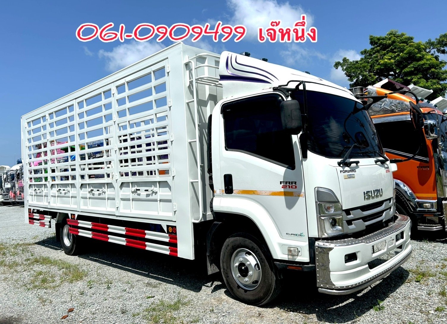 หกล้อคอก Isuzu Frr 210 แรงม้า ปี 2565 (1694)