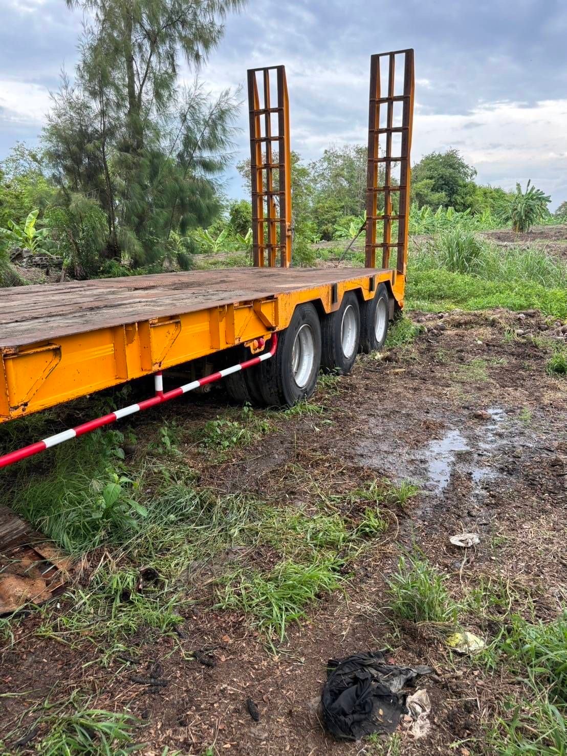 ขาย หางโลเบส สามคาน กว้าง 2.55 กลางปีกด้านข้างได้ข้าง ขาย หางโลเบส สามคาน กว้าง 2.55 กลางปีกด้านข้างได้ข้าง