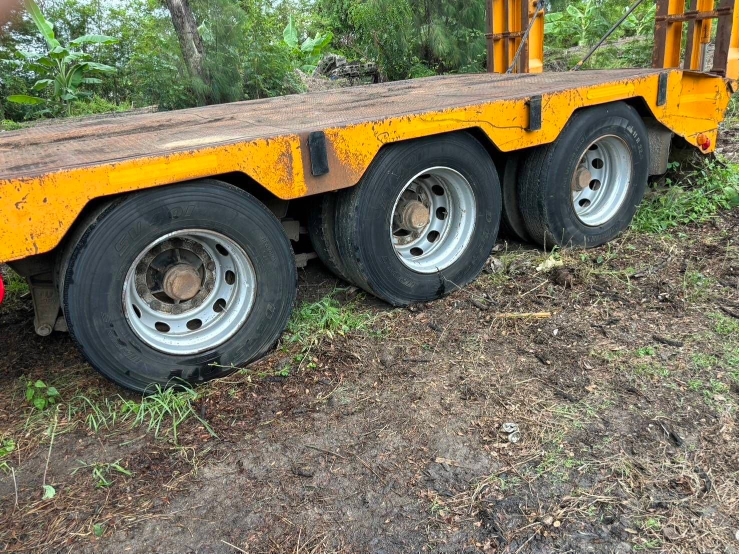 ขาย หางโลเบส สามคาน กว้าง 2.55 กลางปีกด้านข้างได้ข้าง ขาย หางโลเบส สามคาน กว้าง 2.55 กลางปีกด้านข้างได้ข้าง