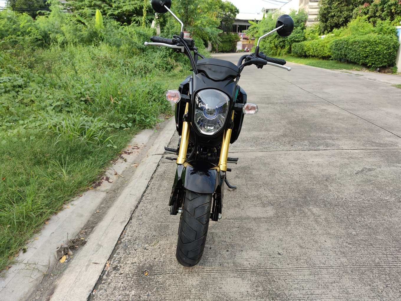 Honda Msx 125 sf มีบริการเก็บปลายทาง Honda Msx 125 sf มีบริการเก็บปลายทาง