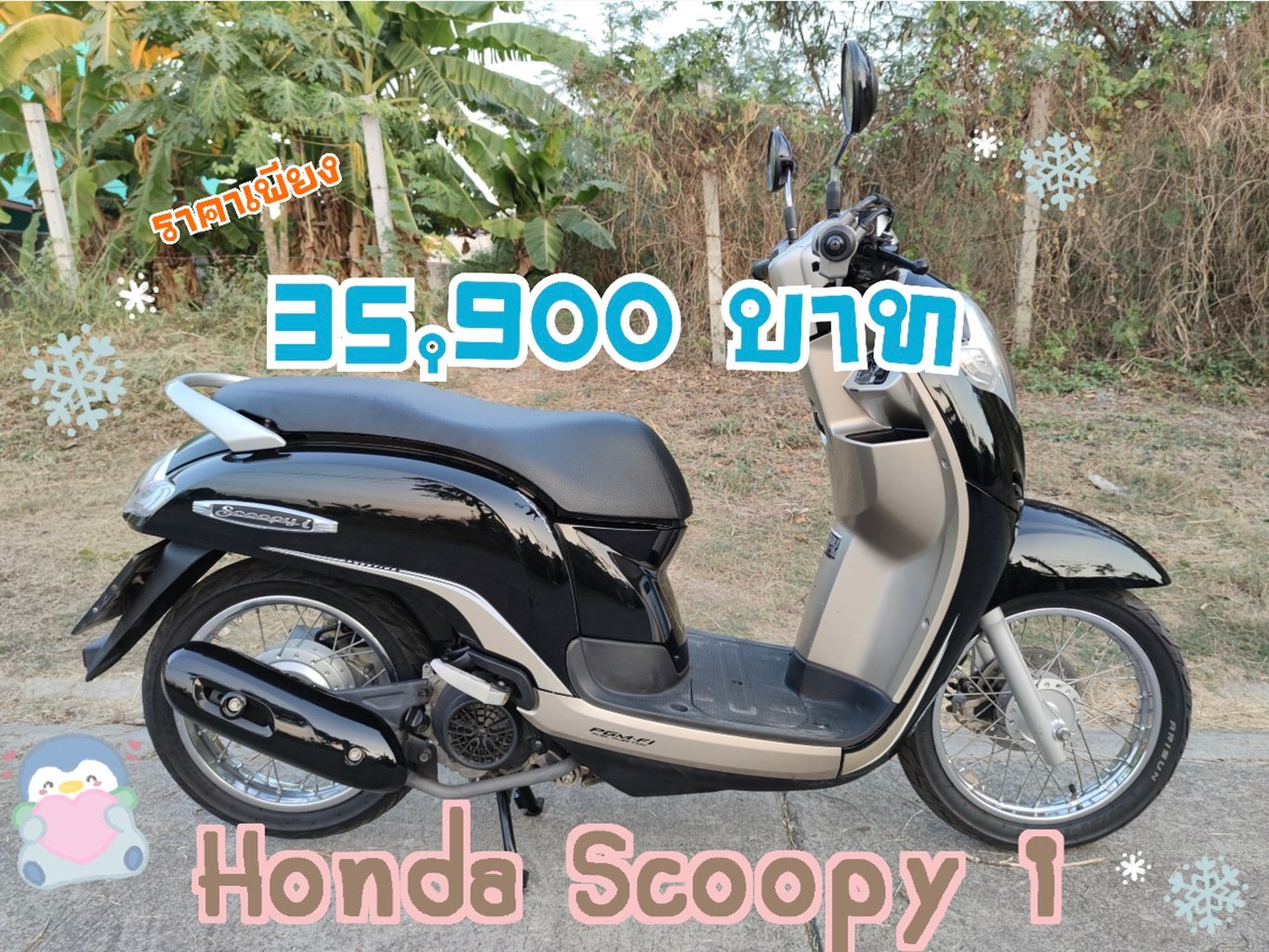 เก็บปลายทาง  Honda scoopy i สด-ผ่อน