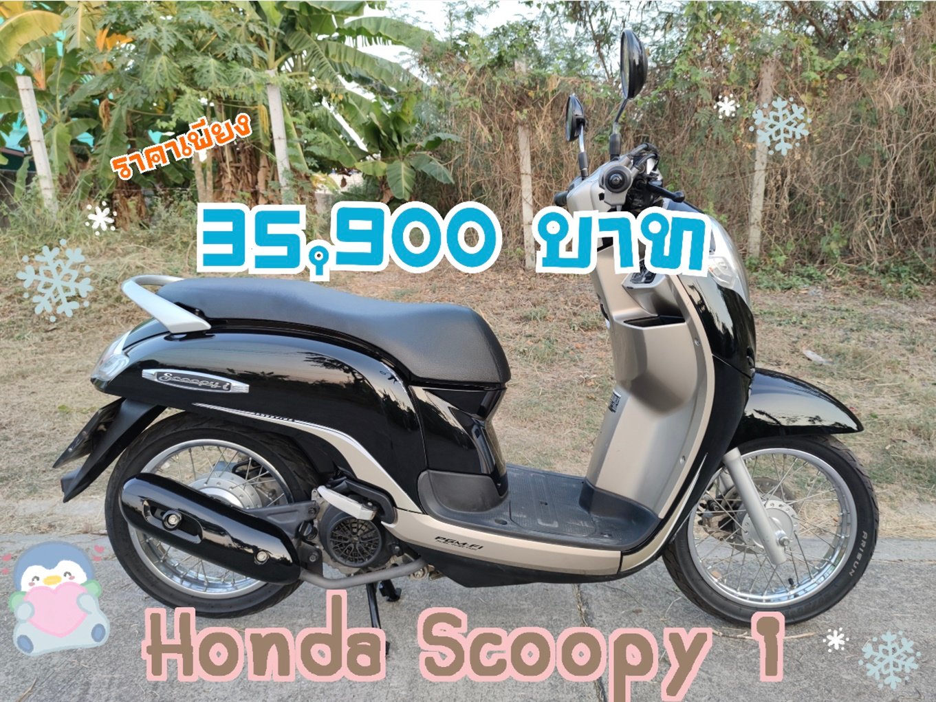 เก็บปลายทาง  Honda scoopy i สด-ผ่อน