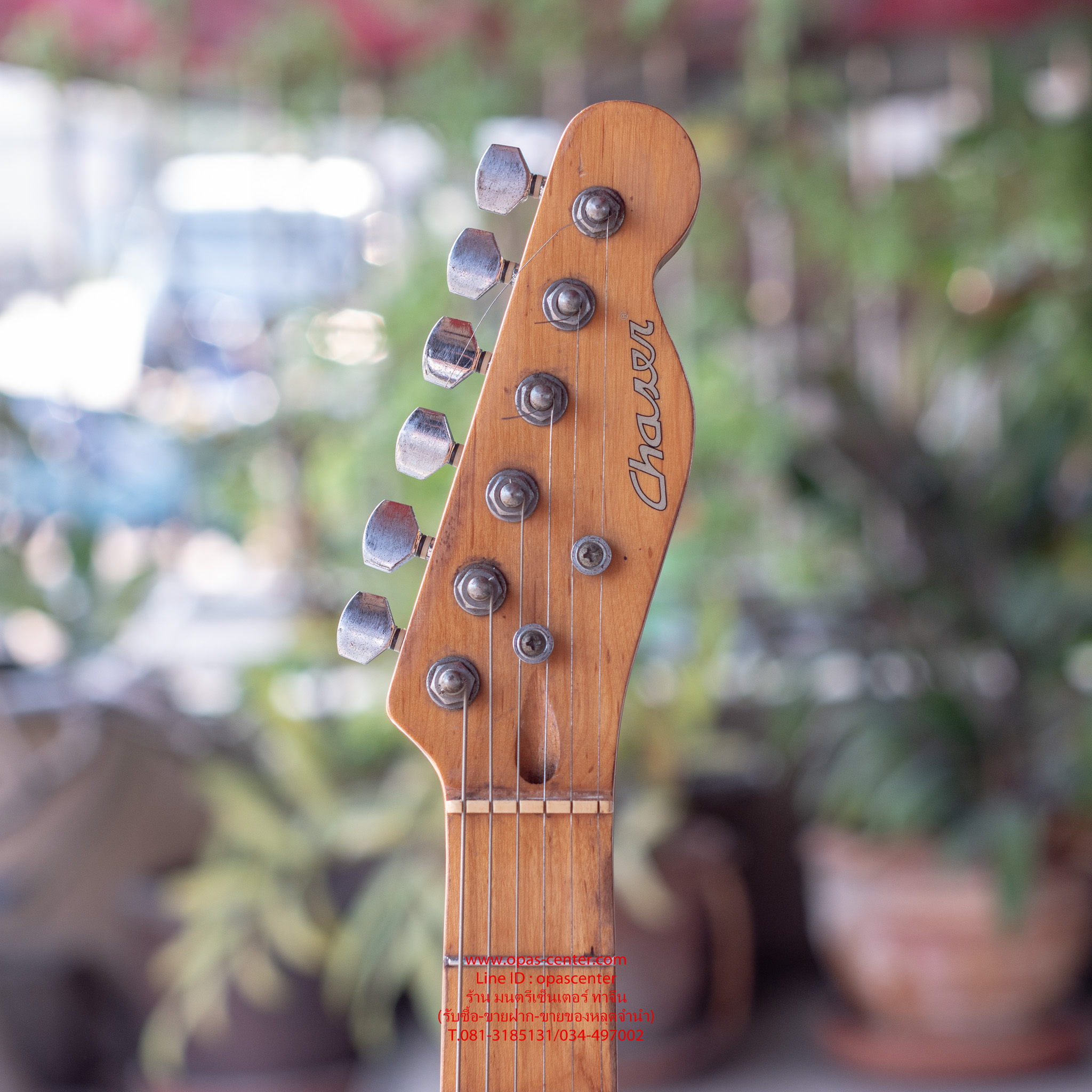 กีต้าร์ไฟฟ้า Chaser STL-11 ทรง Telecaster มือสอง สภาพดี พร้อมใช้งาน
