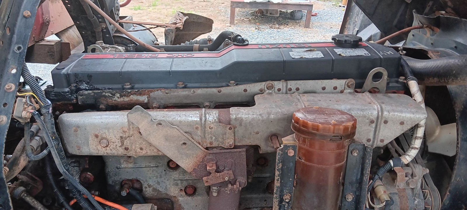 ขายรถ 6 ล้อดั้ม isuzu 195