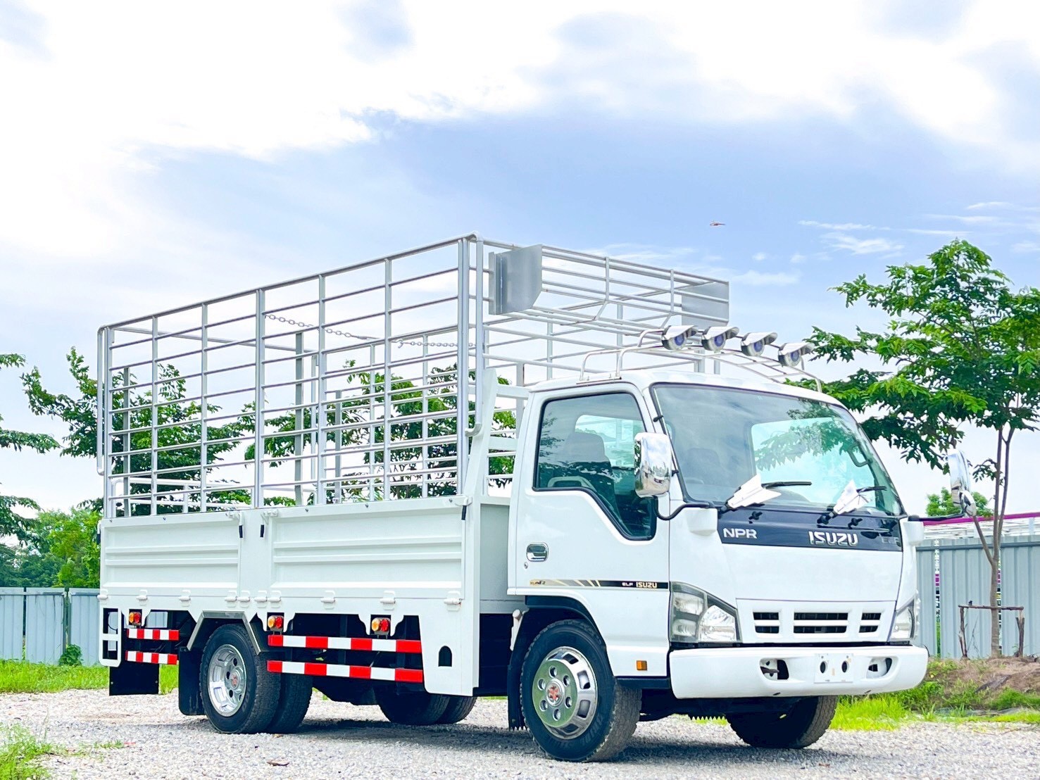 6ล้อคอก ISUZU NPR 130 แรงม้า ปี 2555