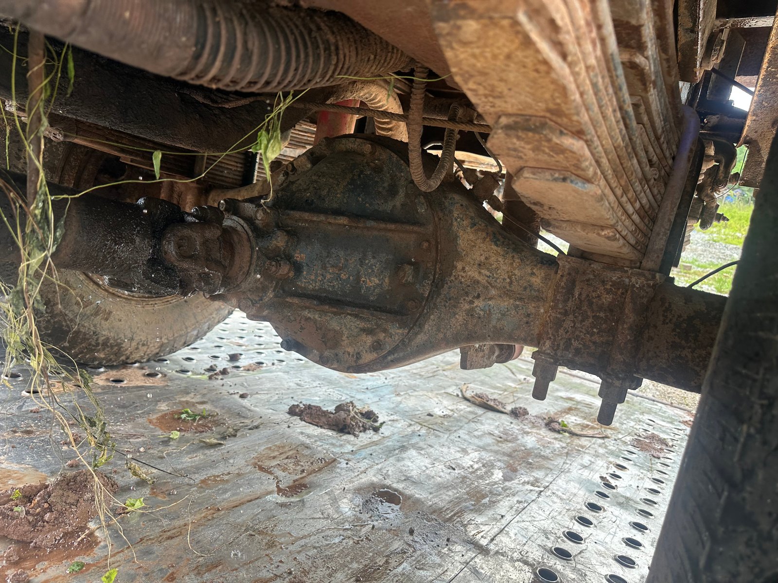 6ล้อดั้ม MITSUBISHI canter