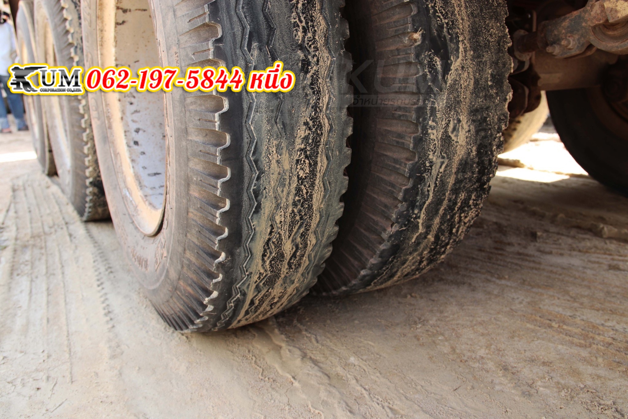 หางพื้นเรียบ หางพื้นเรียบ