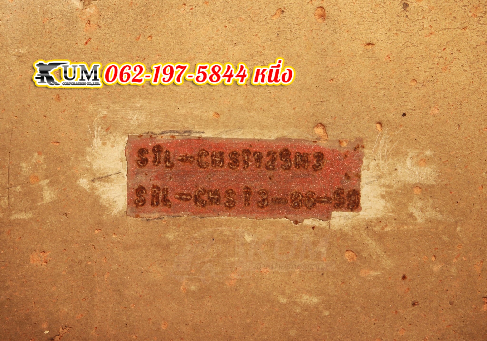 หางพื้นเรียบ