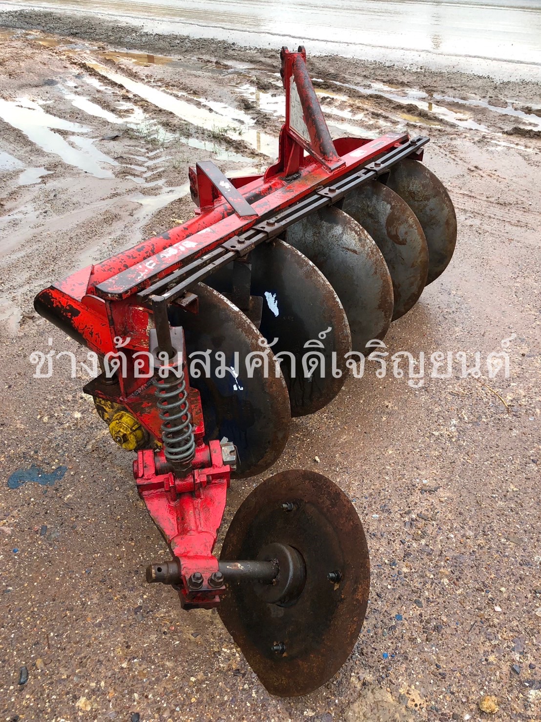 ผาน5/24 LCS ใบเต็ม