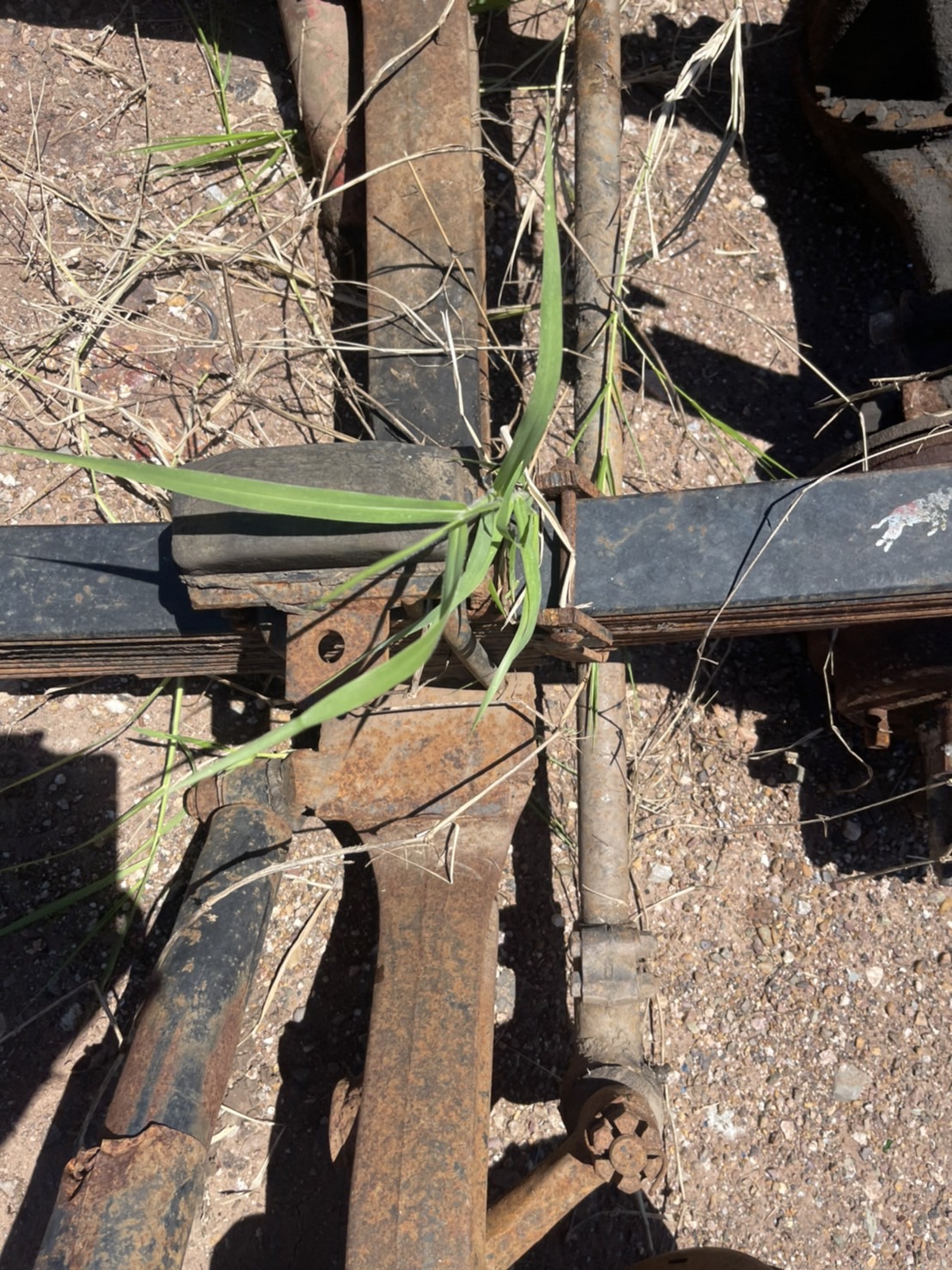 คานหน้า ร็อกกี้ ใส่หัวยาว พร้อมแหนบ