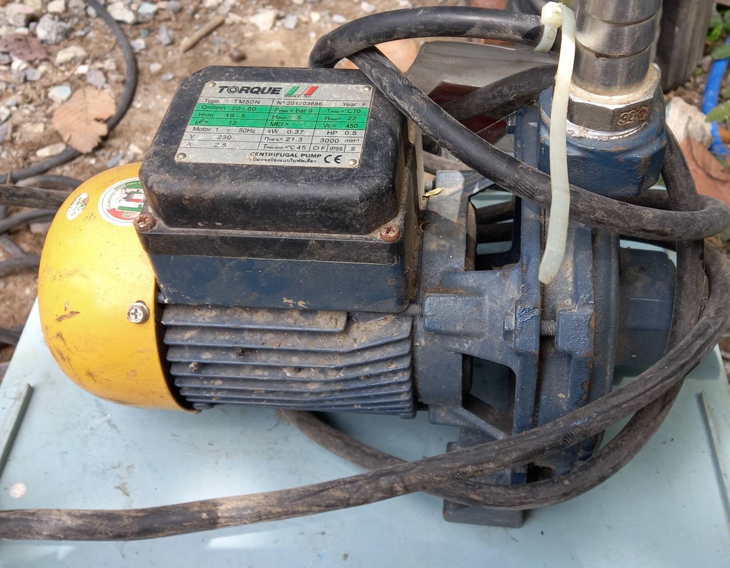 ปั๊มน้ำ TORQUE  รุ่น TM50N ขนาด 1 นิ้ว 0.5แรง