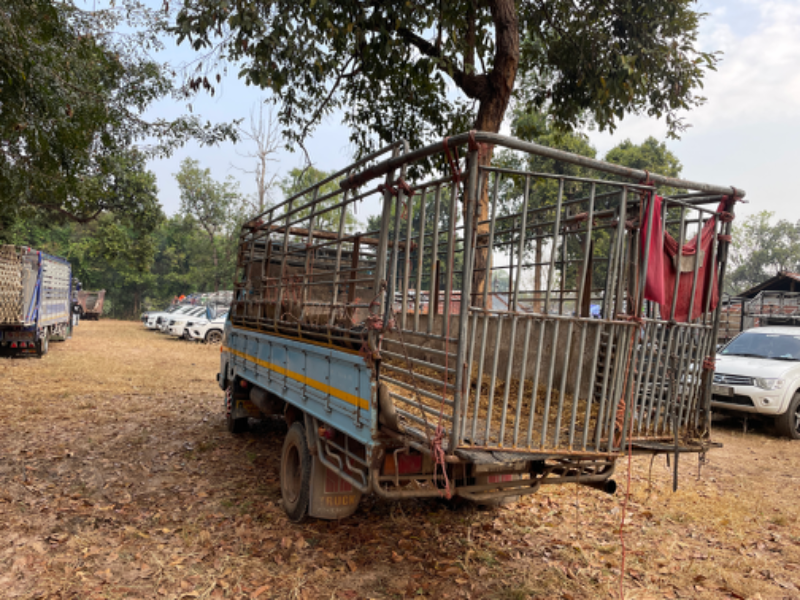 ขาย Isuzu 6ล้อกลาง NKR 110