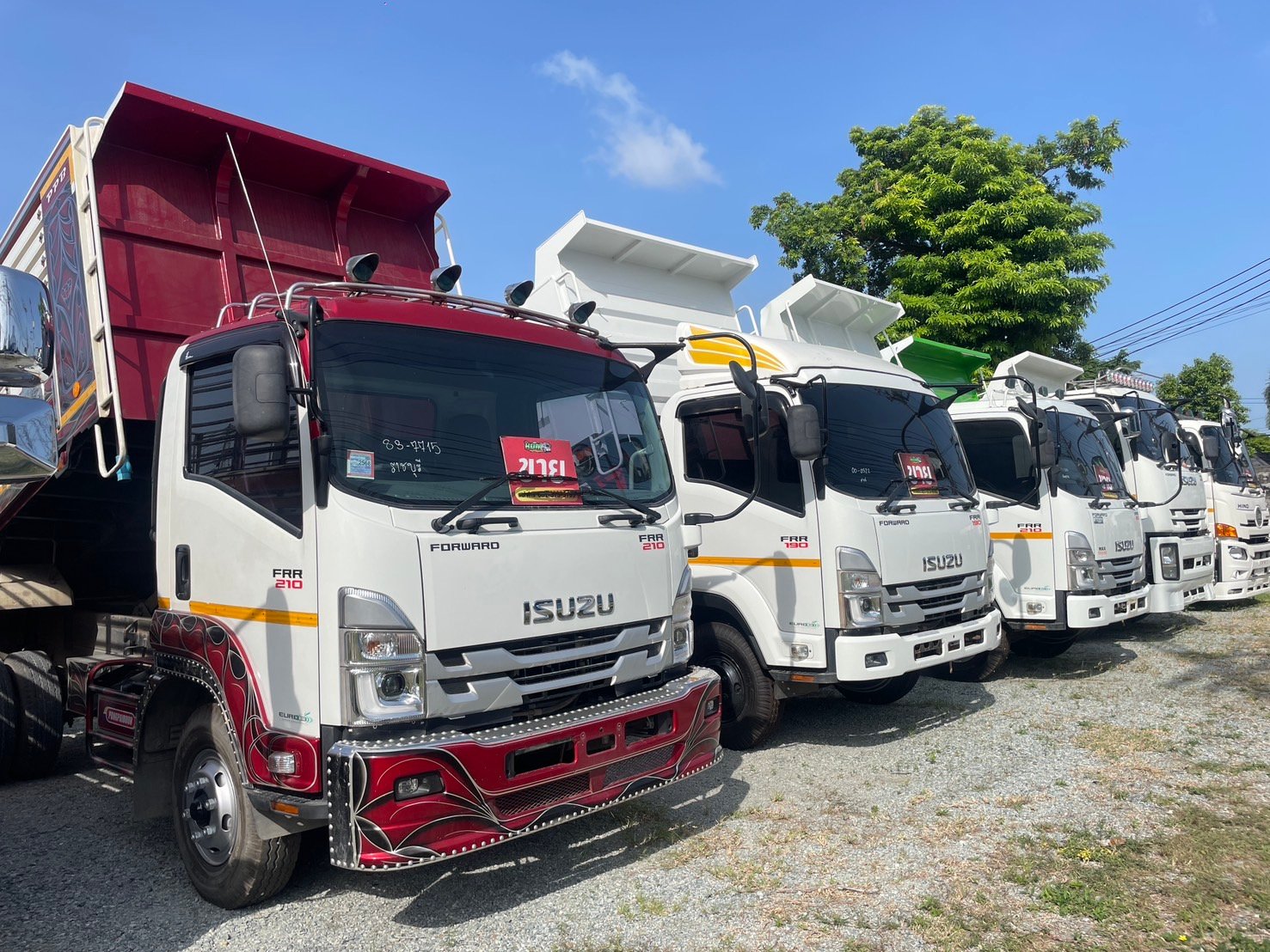 หกล้อดั้มพ์ ดิน หิน ทราย FRR 210-FTR 240 กระบะบิ้วใหม่ทุกคัน รถปีใหม่ บางคันไมล์น้อยมาก คุ้มทุนแน่นอ