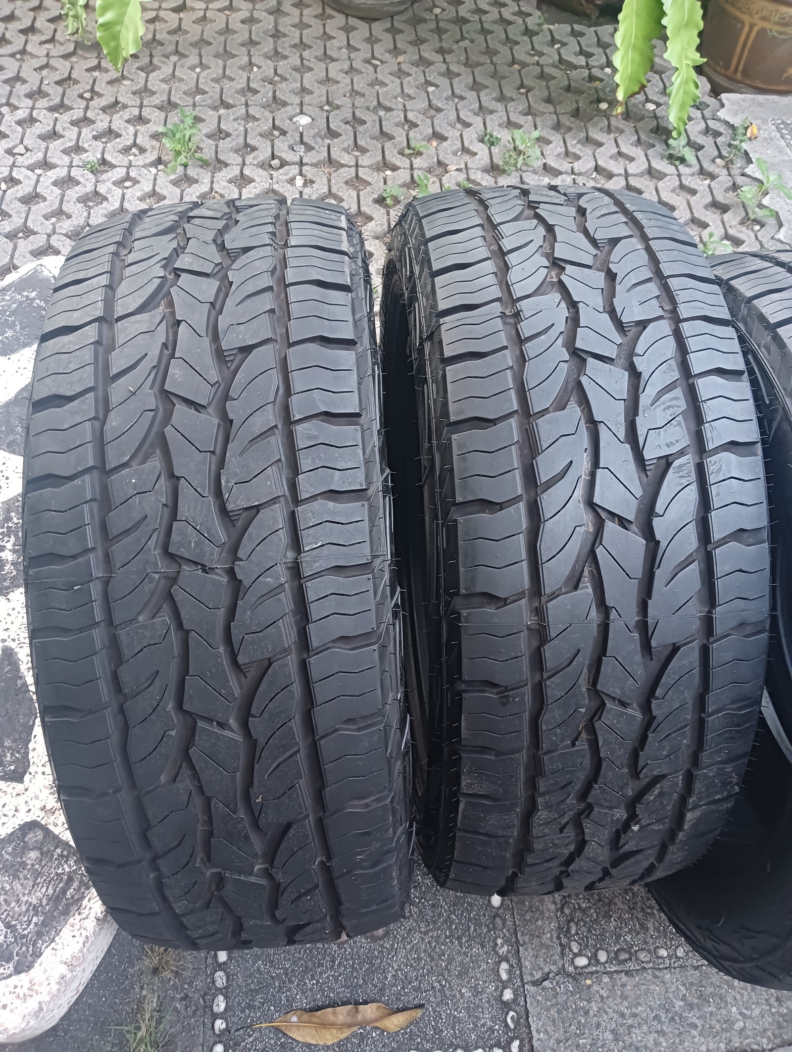 ยางสวยๆ 265 50R20 dunlop at5 ยางสวยๆ 265 50R20 dunlop at5