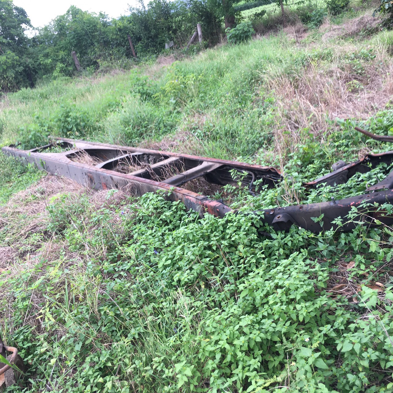 ขายคัสชี ร็อกกี้ 10 ล้อ พร้อมทะเบียน แจ้งจอด 65000 บาท