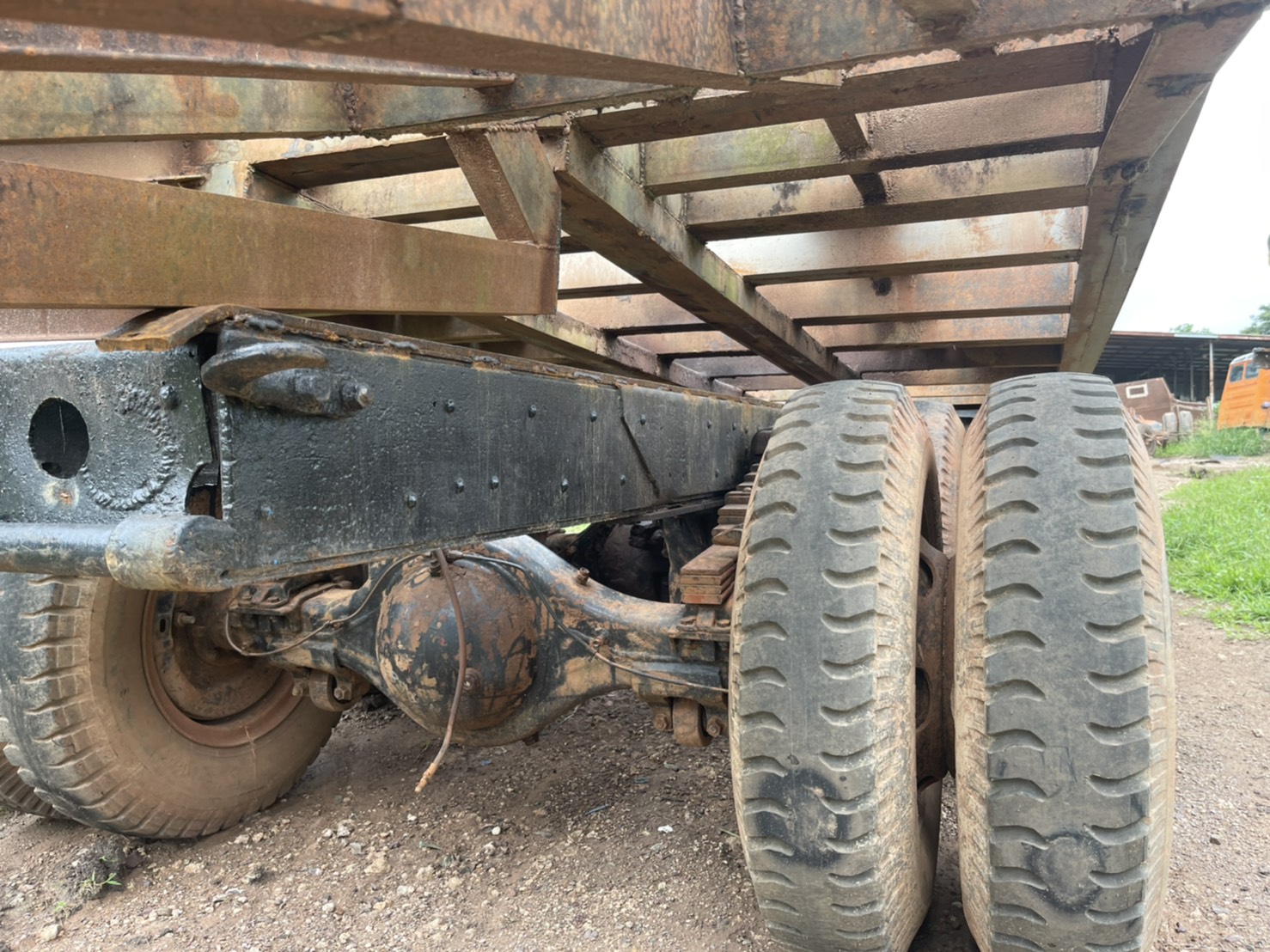 ขายคัสชี หัวยาว ไม่มีเลข 25000 บาท 0816278866