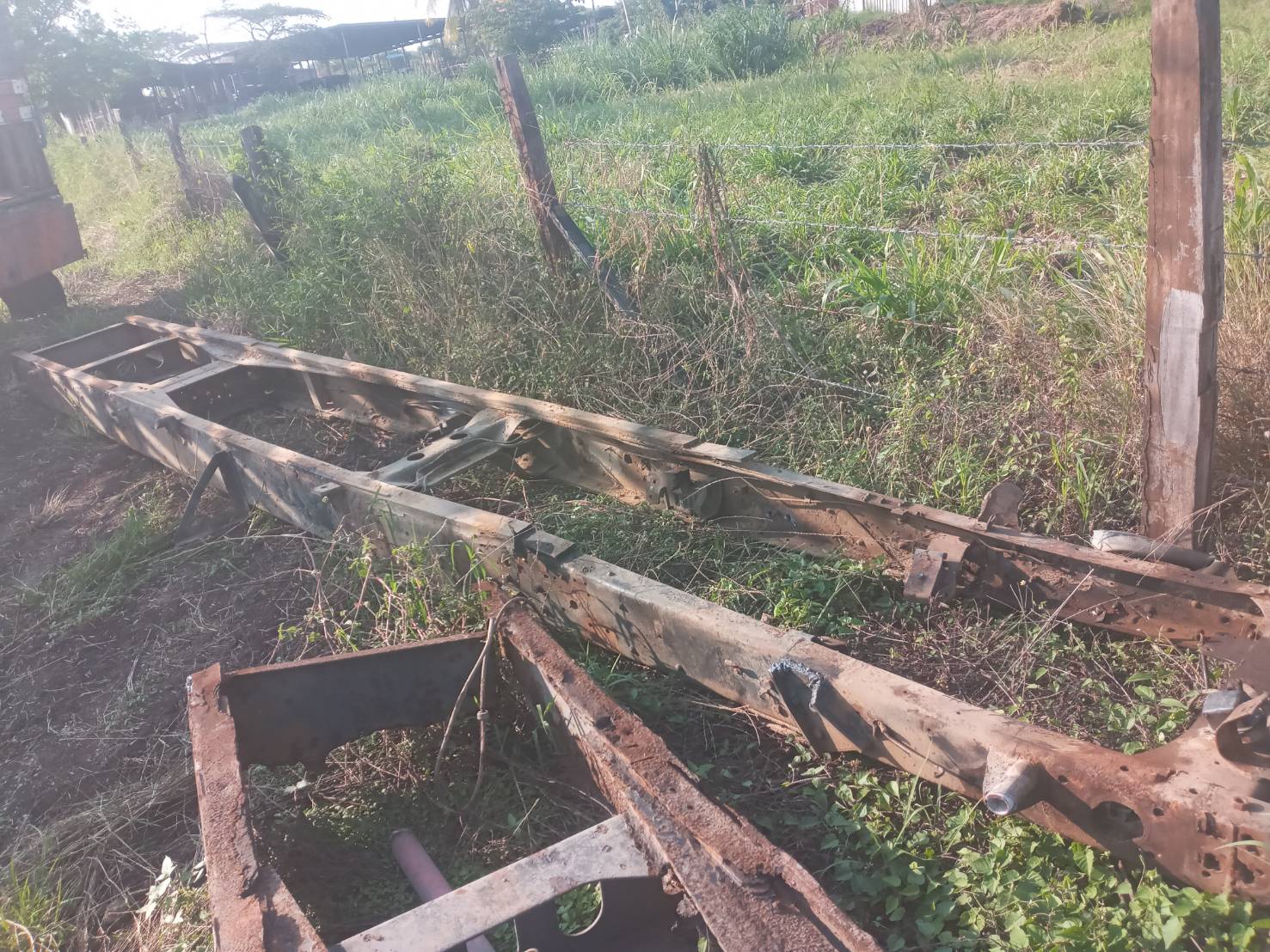 คัสชีพร้อมทะเบียนKT920