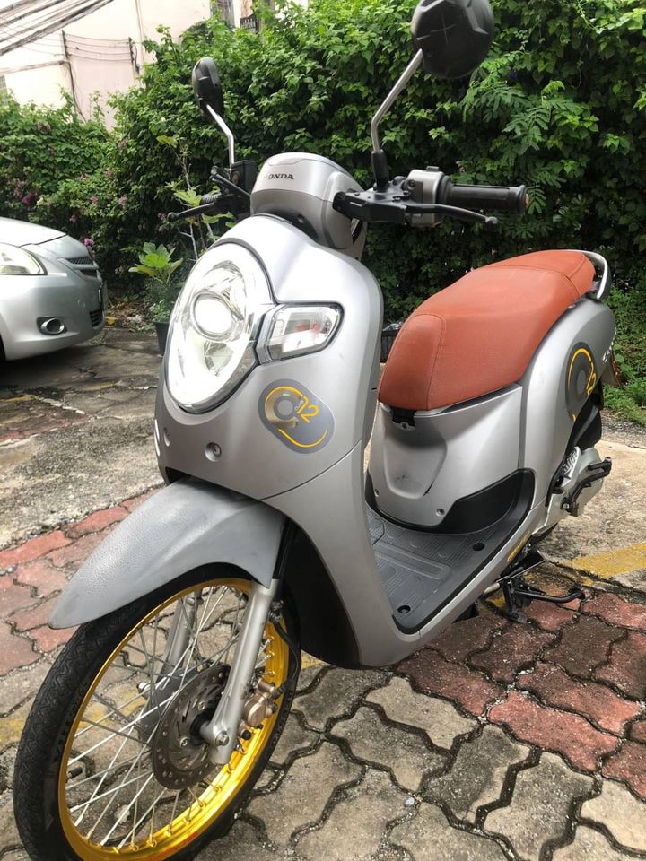 Honda Scoppy Club12 ปี2019 Honda Scoppy Club12 ปี2019