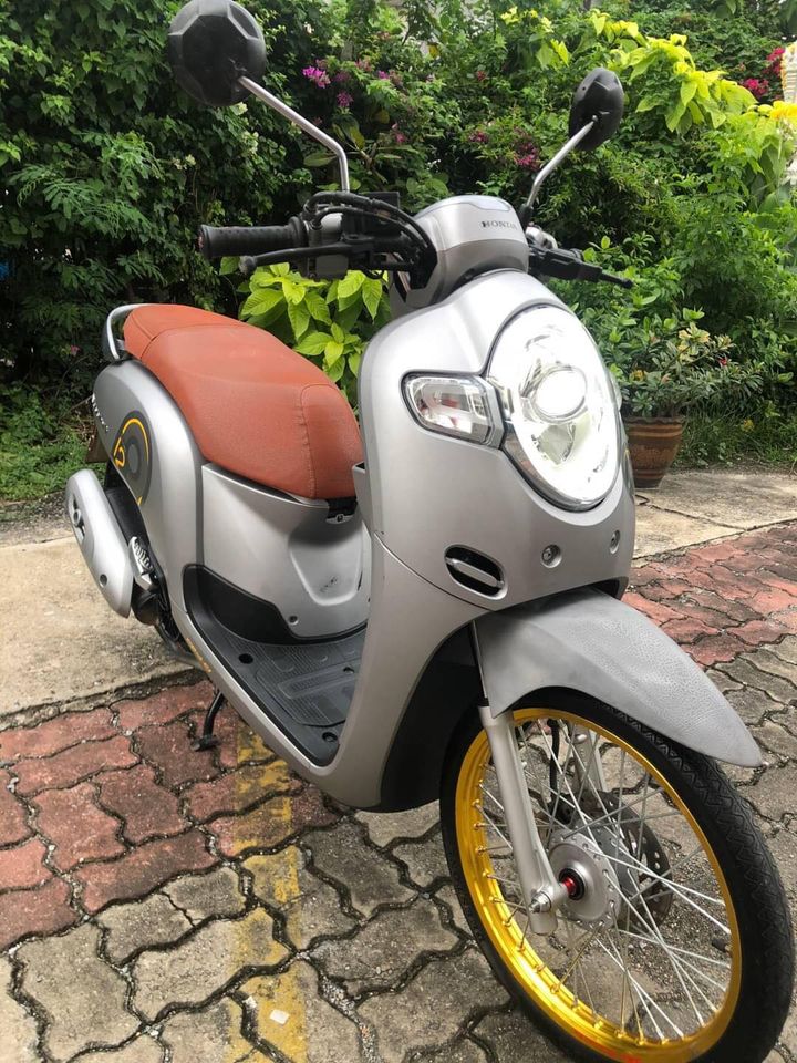 Honda Scoppy Club12 ปี2019 