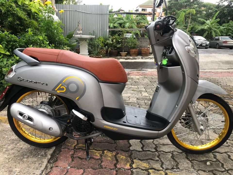 Honda Scoppy Club12 ปี2019 Honda Scoppy Club12 ปี2019