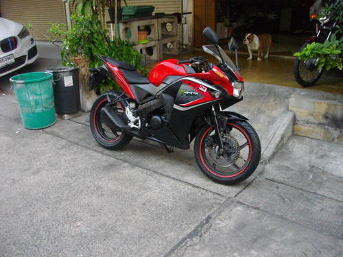 ขาย CBR 150i หัวฉีด สวยหรู เครื่องเทพสดมาก ได้ไปใช้ยาวๆ ราคา 28500 บาท