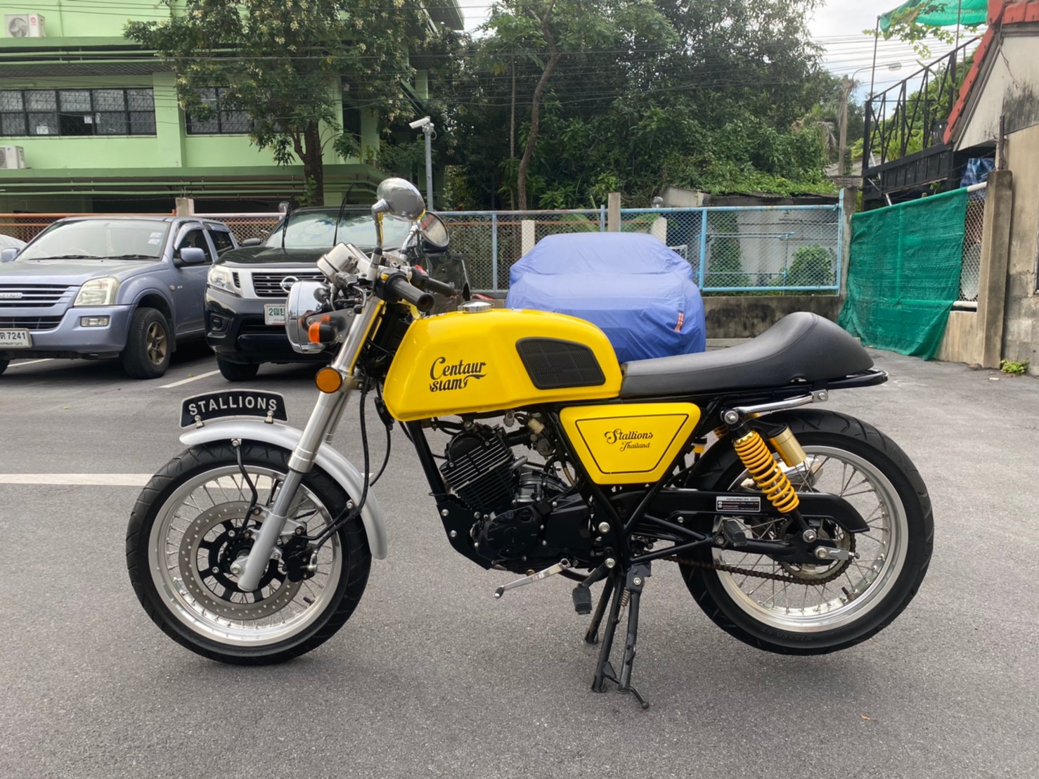 Stallions Centaur siam 150 2016 Stallions Centaur siam 150 2016