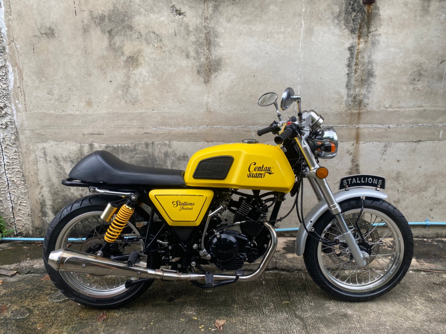 Stallions Centaur siam 150 2016 Stallions Centaur siam 150 2016