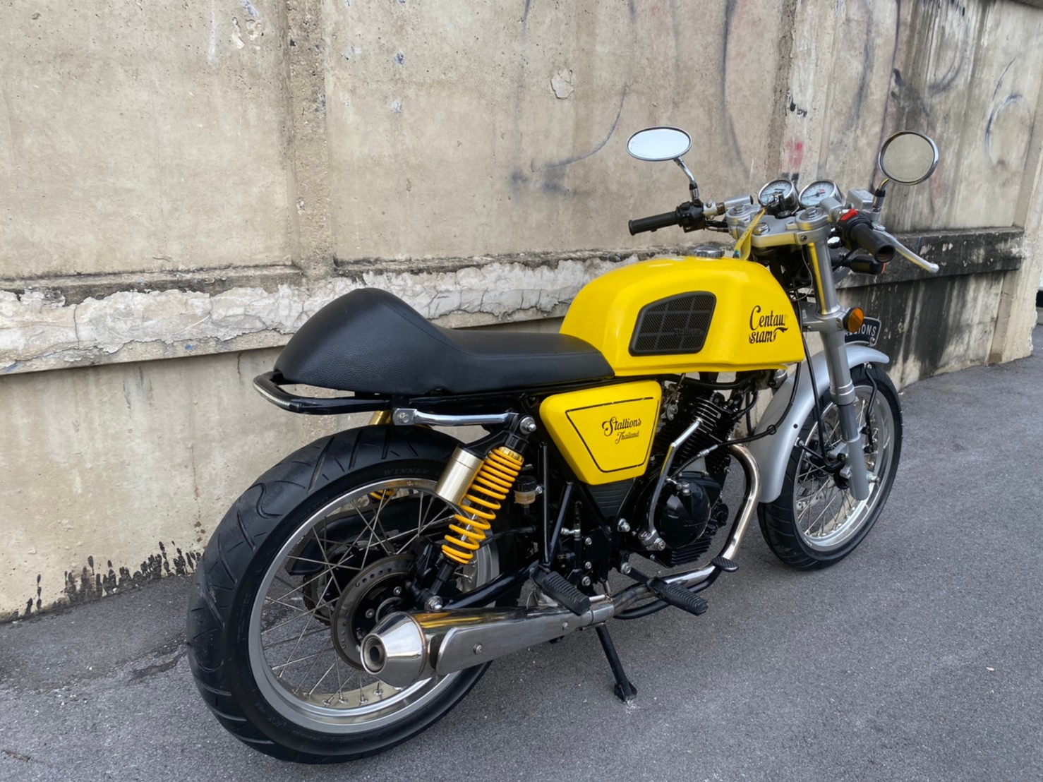 Stallions Centaur siam 150 2016 Stallions Centaur siam 150 2016