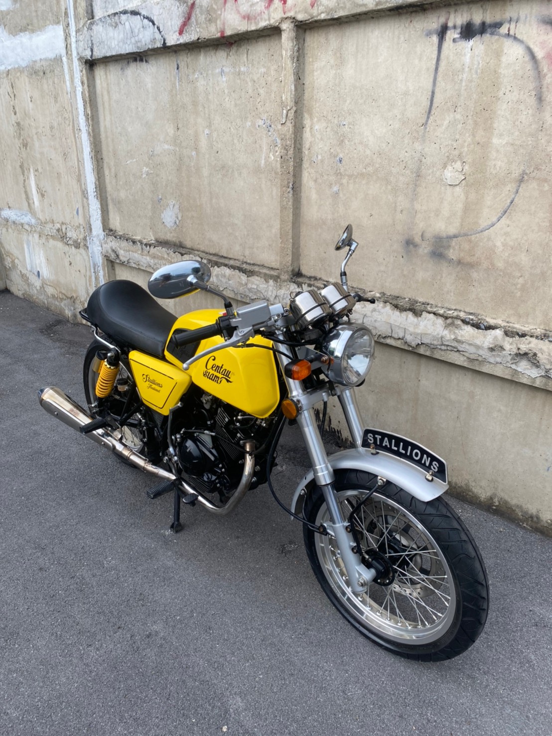 Stallions Centaur siam 150 2016 Stallions Centaur siam 150 2016