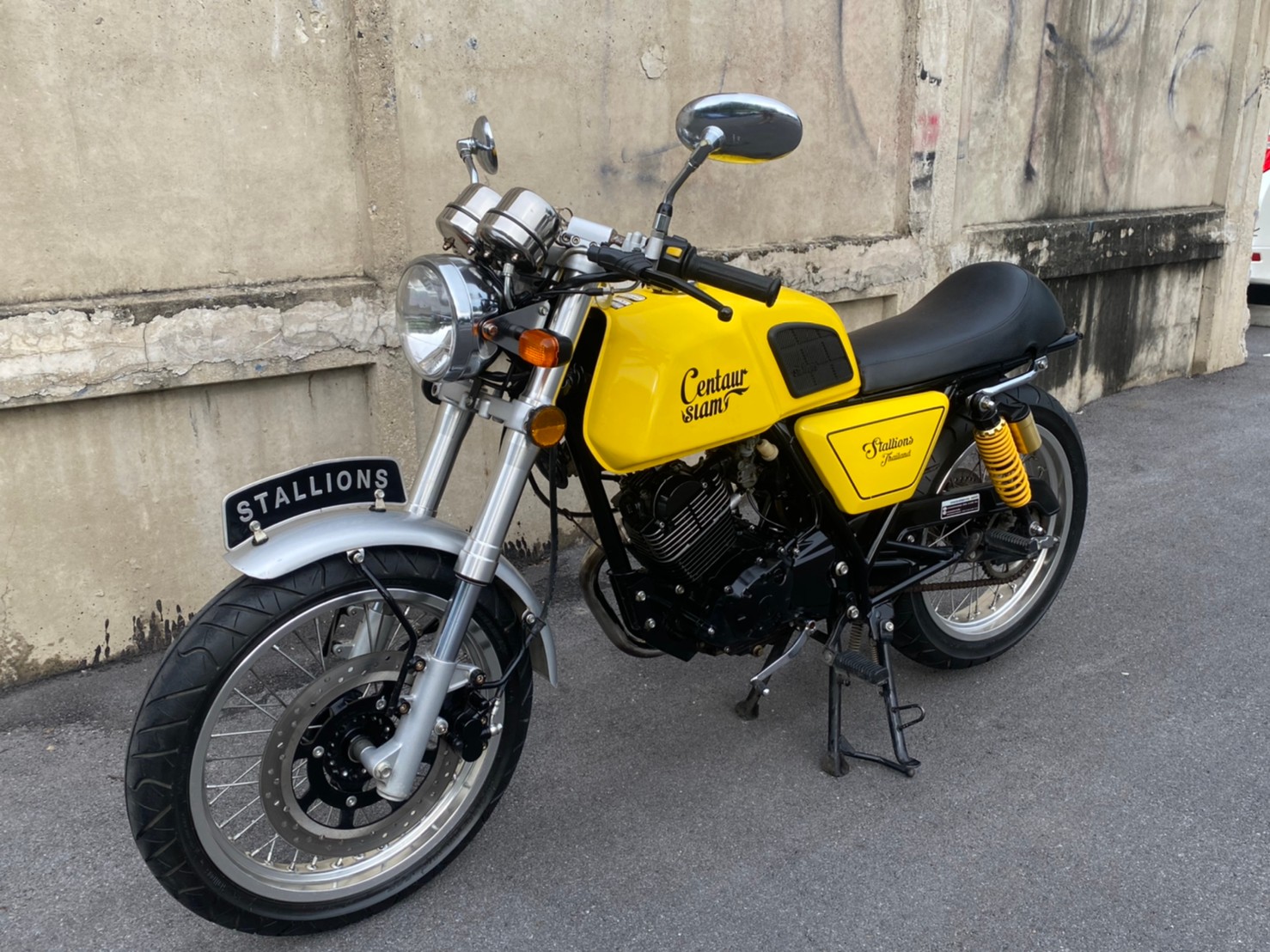 Stallions Centaur siam 150 2016 Stallions Centaur siam 150 2016