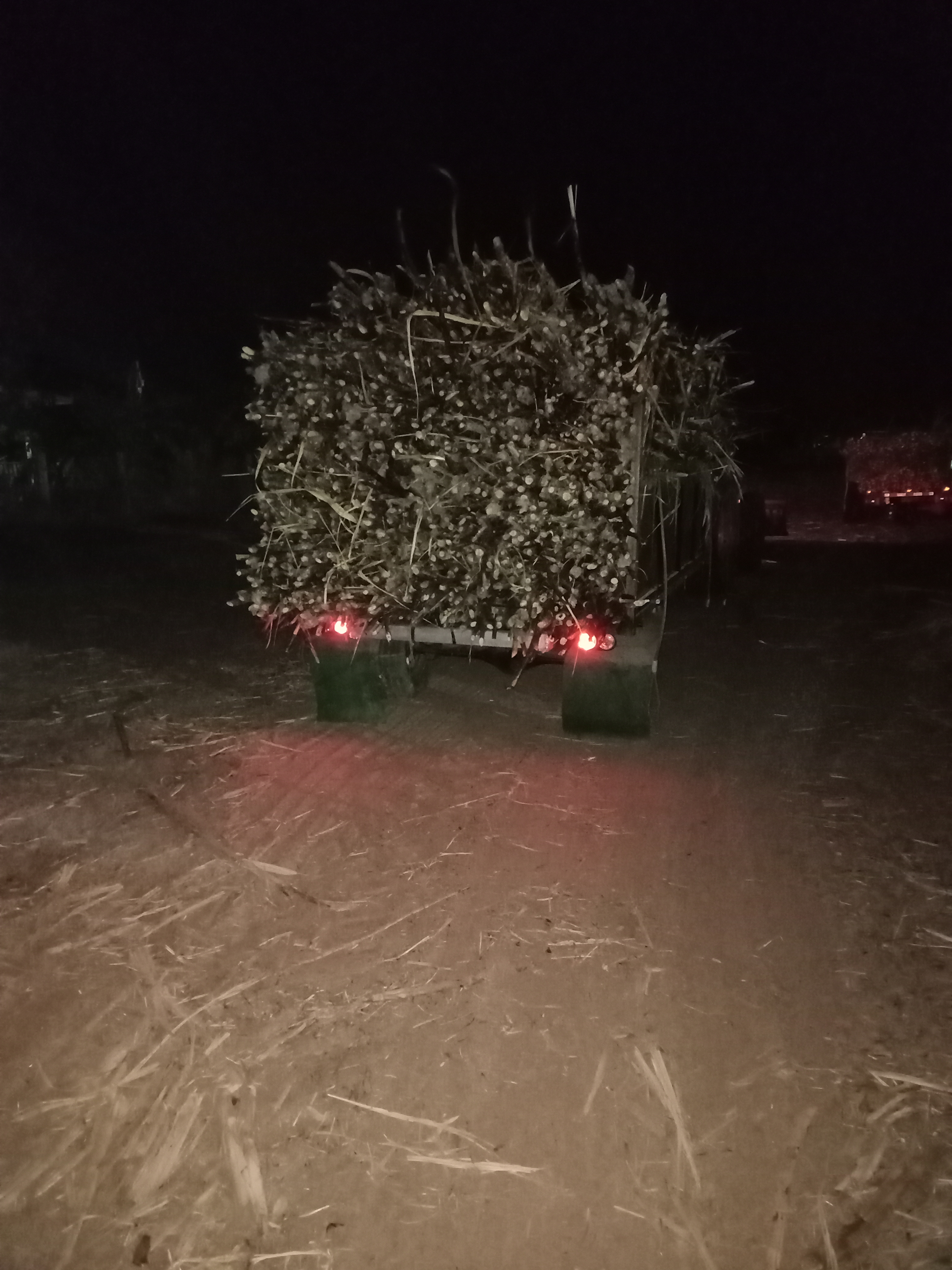 ขายครับ สาลี่ สำหรับบรรทุกราคาเบาๆครับ