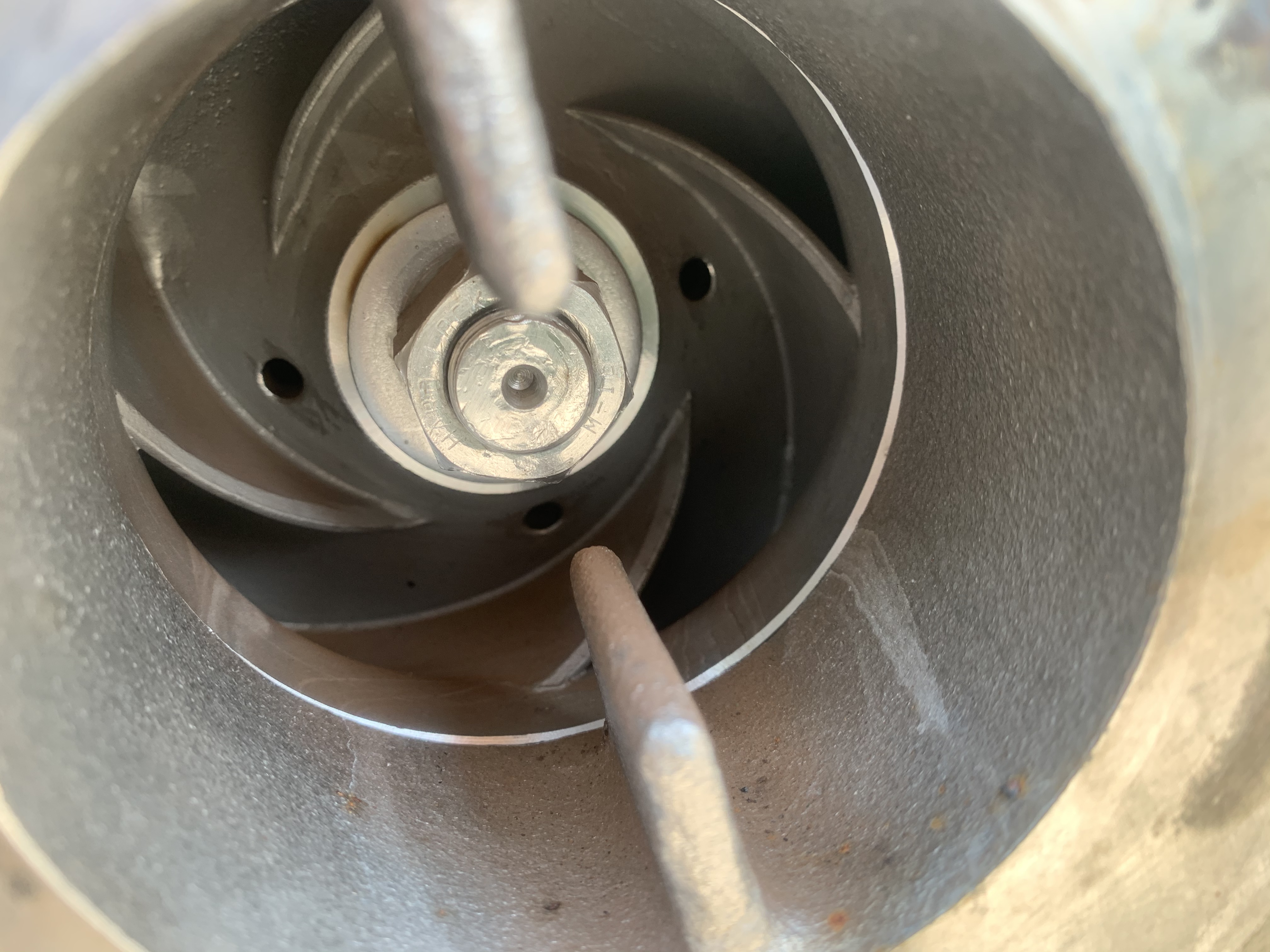 ขายชุดปั๊มน้ำหอยโข่งหัวปั๊มสแตนเลส 316L Torishima Pump ขนาดเข้า 3นิ้ว ออก 2นิ้ว made in Japan พร้อมม ขายชุดปั๊มน้ำหอยโข่งหัวปั๊มสแตนเลส 316L Torishima Pump ขนาดเข้า 3นิ้ว ออก 2นิ้ว made in Japan พร้อมม