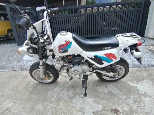 รถstarlion Baja รถstarlion Baja