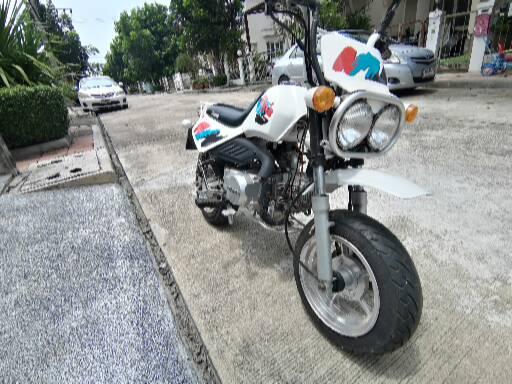 รถstarlion Baja รถstarlion Baja